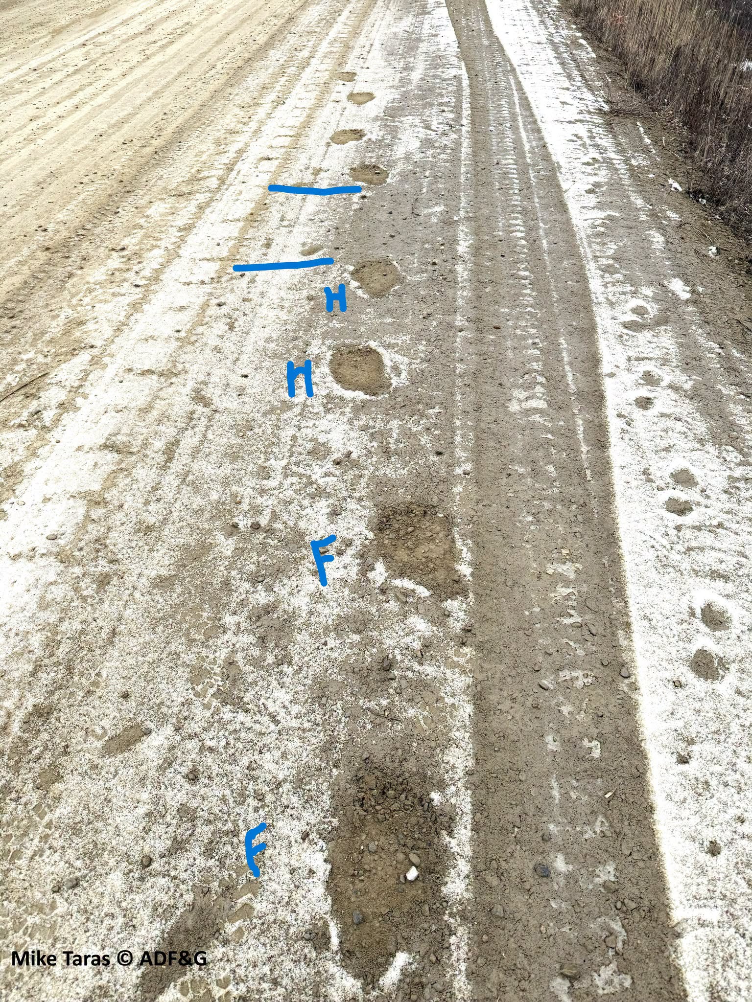 Track Tuesday - Transition Time (4/5)