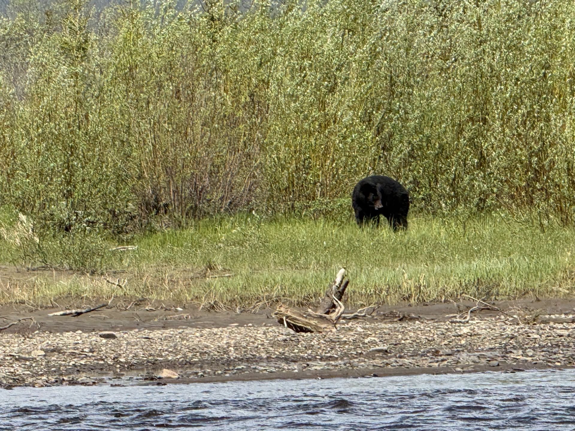 BLM staff recap Birch Creek Wild and Scenic River trip and safety information (3/5)