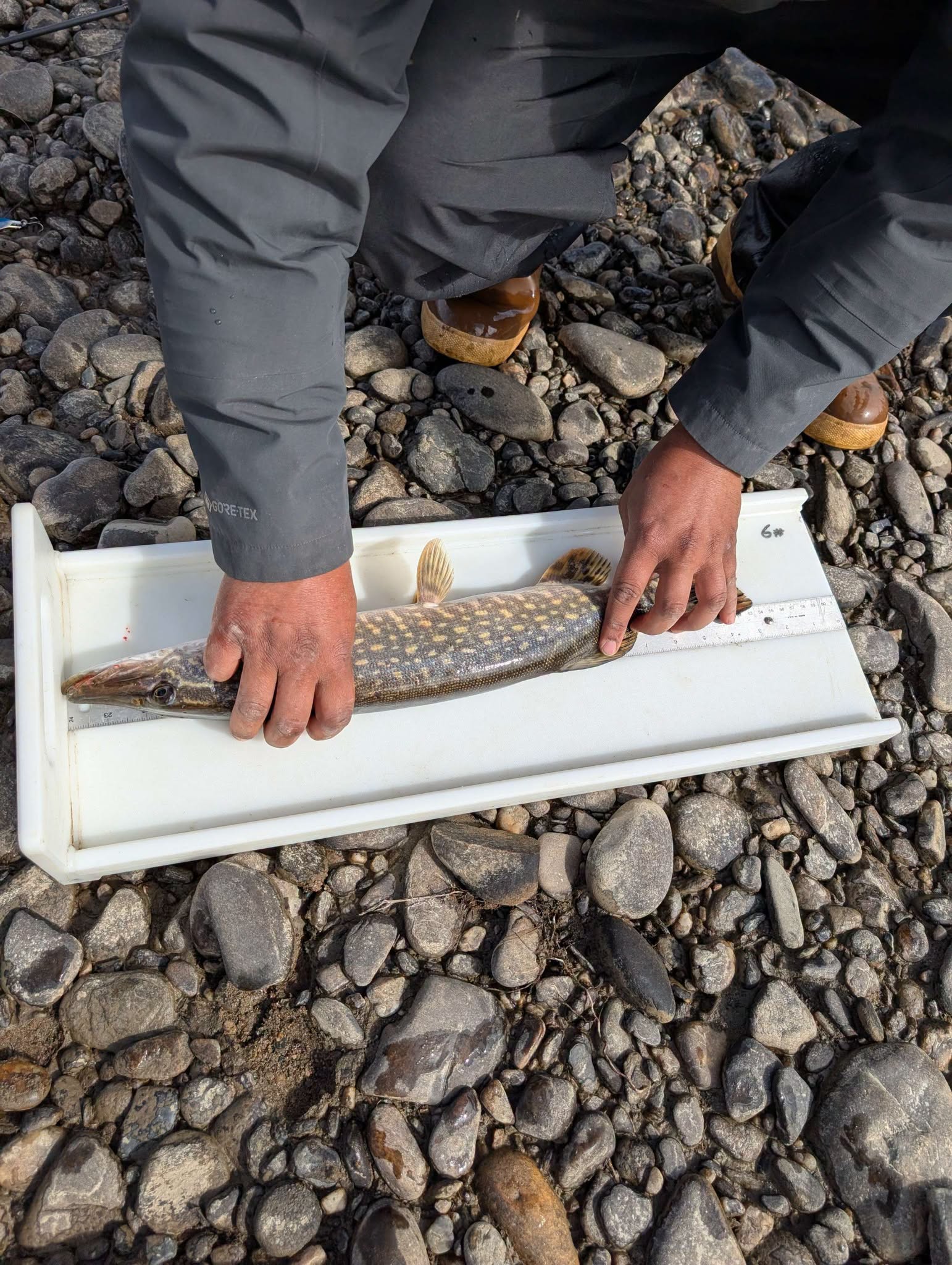 BLM staff recap Birch Creek Wild and Scenic River trip and safety information (2/5)