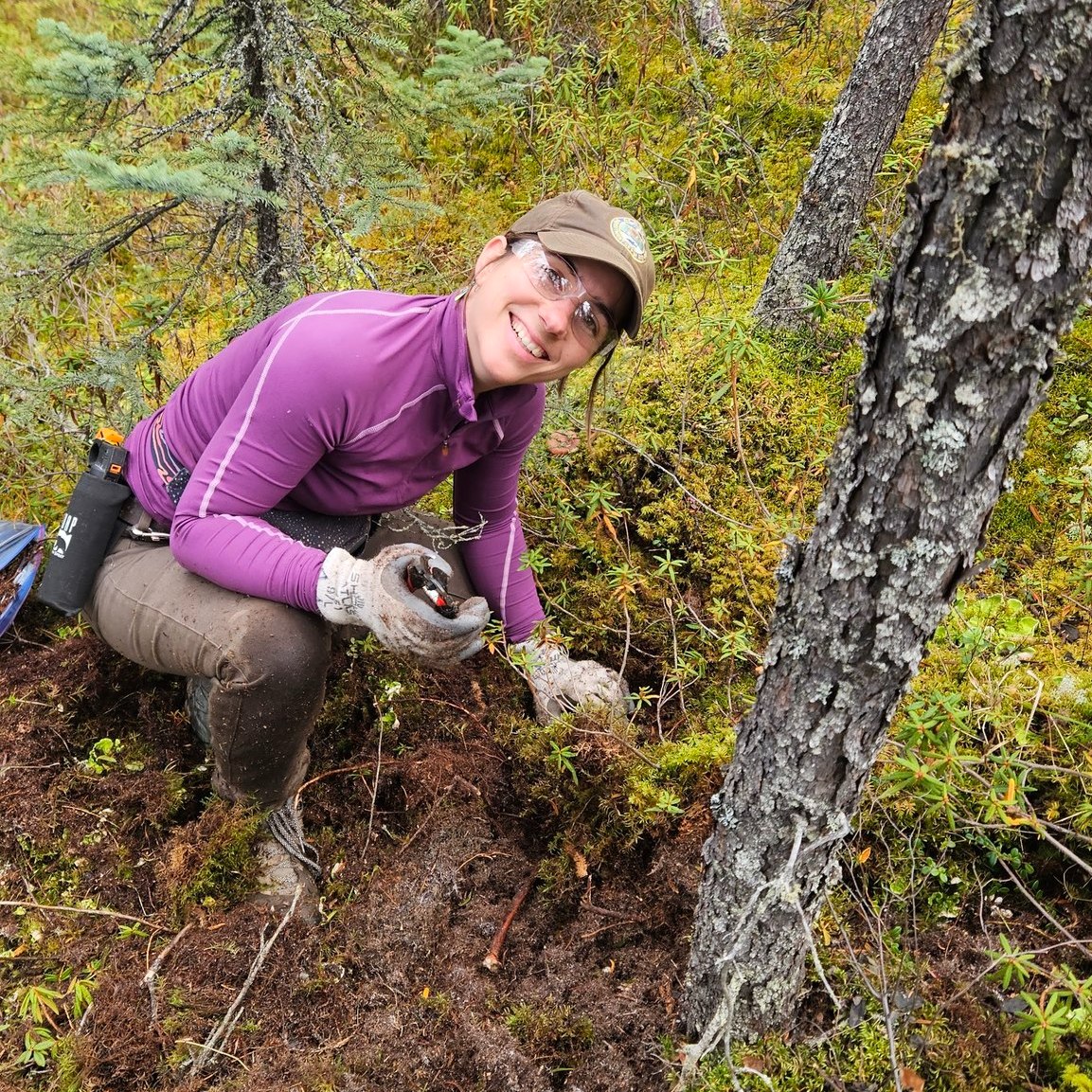 New Alaska Fish and Wildlife News issue: Mammals and Mushrooms (1/3)